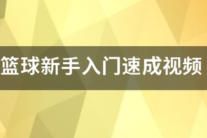 篮球基础班训练视频讲解